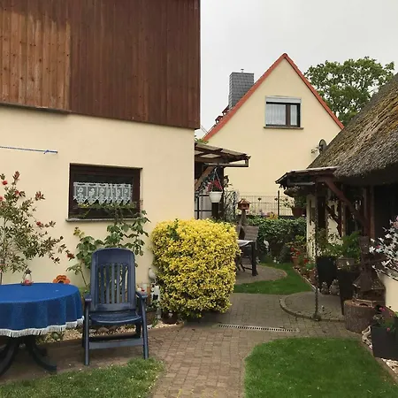 Csajka * Ückeritz