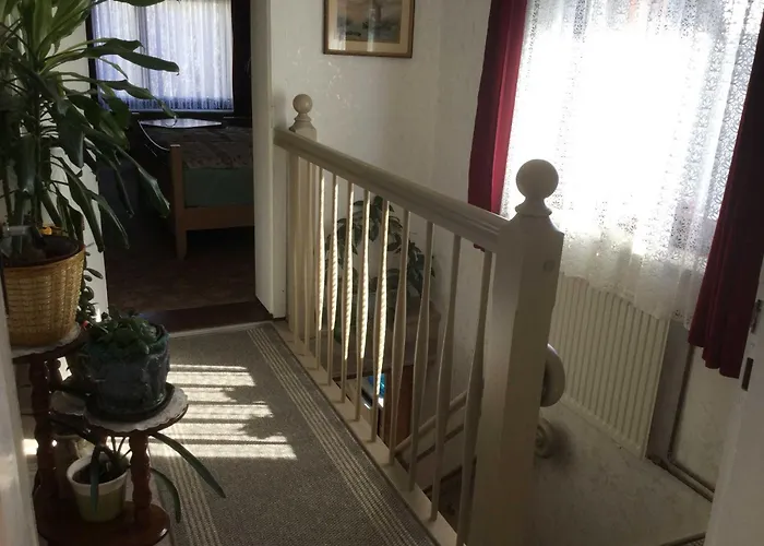 Csajka Apartment